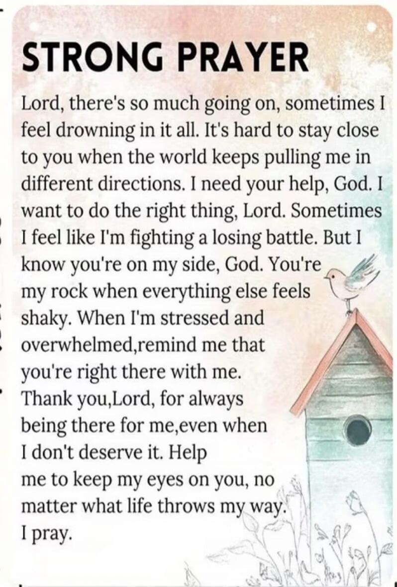 STRONG PRAYER
Lord, there's so much going on, sometimes I feel drowning in it all. It's hard to stay close to you when the world keeps pulling me in different directions. I need your help, God. I want to do the right thing, Lord. Sometimes I feel like I'm fighting a losing battle. But I know you're on my side, God. You're my rock when everything el