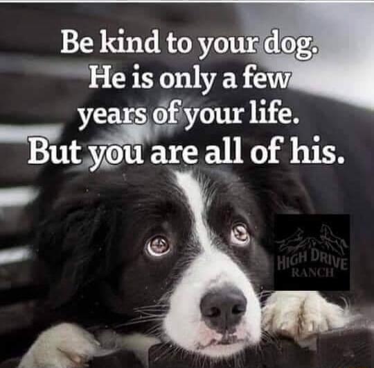 Be kmd to yourd rlC years ofiyour life Butre all of his