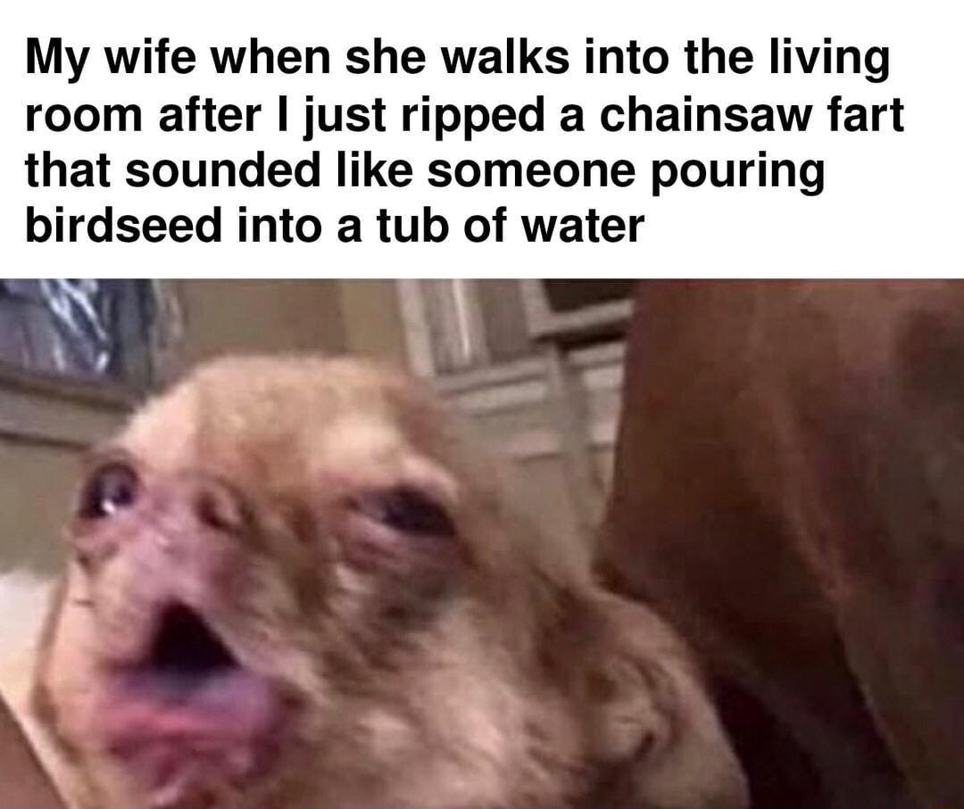 My wife when she walks into the living room after just ripped a chainsaw fart that sounded like someone pouring birdseed into a tub of water