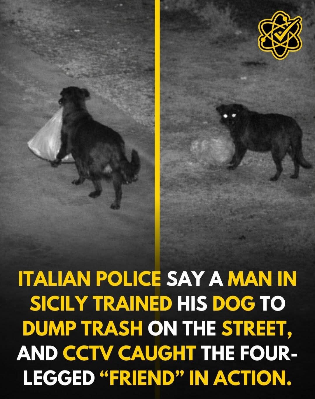 ITALIAN POLICE SAY A MAN IN SICILY TRAINED HIS DOG TO DUMP TRASH ON THE STREET, AND CCTV CAUGHT THE FOUR-LEGGED 