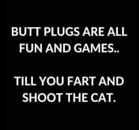 BUTT PLUGS ARE ALL FUN AND GAMES.. TILL YOU FART AND SHOOT THE CAT.
