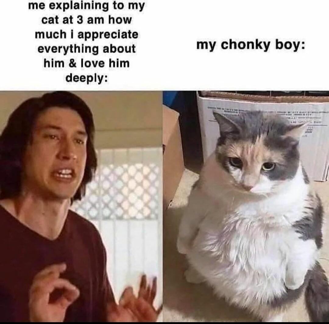 me explaining to my cat at 3 am how much appreciate everything about my chonky boy him love him deeply
