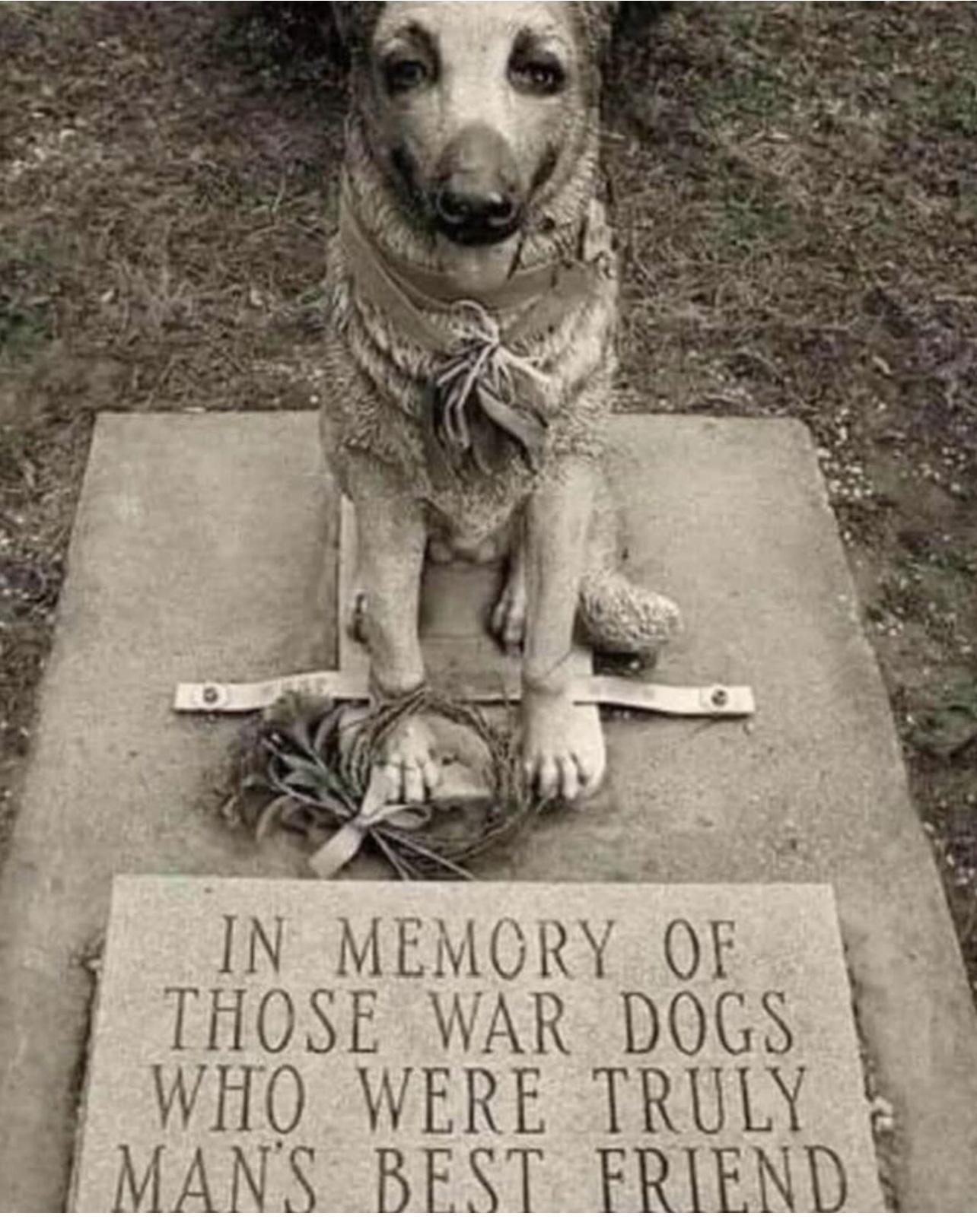 IN MEMORY OF 3 THOSE WAR DOGS WIHO WERE TRULY MANS BEST FRIEND