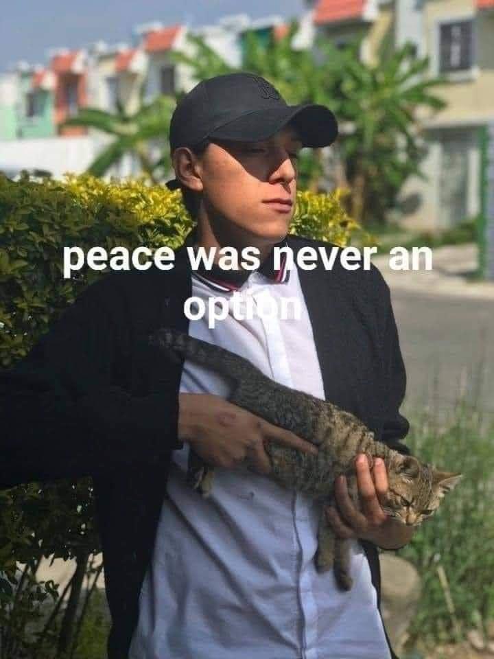 peacwn nevery N i
