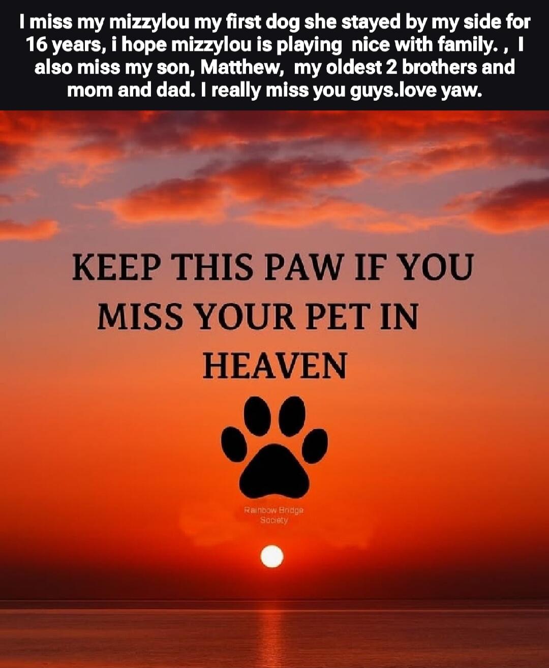 I miss my mizzylou my first dog she stayed by my side for 16 years, I hope mizzylou is playing nice with family. I also miss my son, Matthew, my oldest 2 brothers and mom and dad. I really miss you guys. Love yaw. KEEP THIS PAW IF YOU MISS YOUR PET IN HEAVEN. Rainbow Bridge Society.