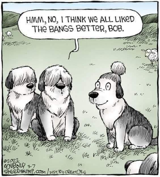 HMM NO THINK We ALL LIKeD THE BANGS BETTER BOB