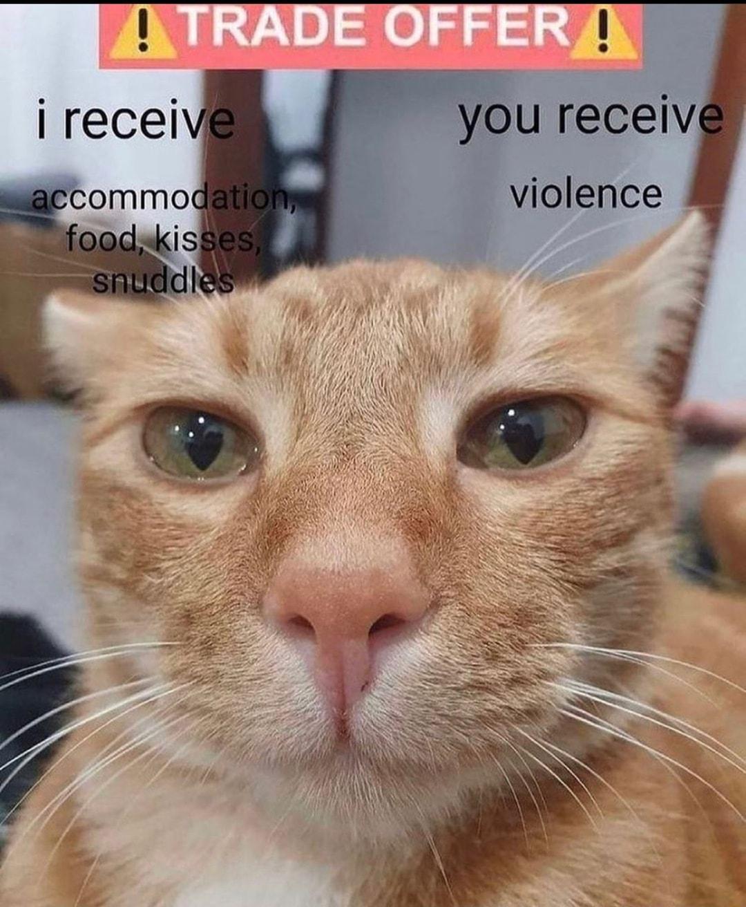 recei