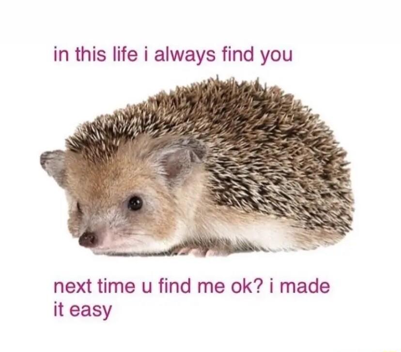 in this life i always find you next time u find me ok i made it easy