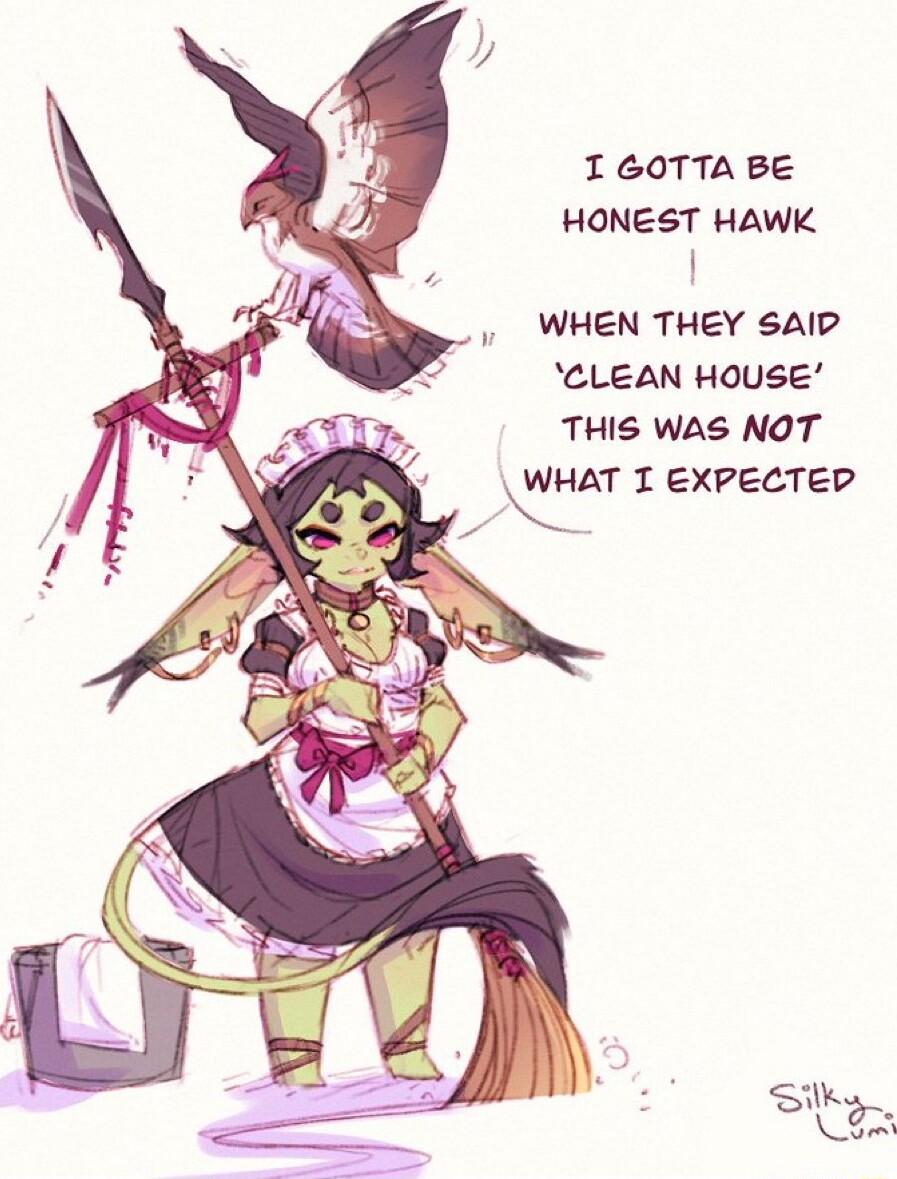 I60TTABE HONEST HAWK WHEN THEY sAID CLEAN HOUSE THIS WAS NOT AT I EXPECTED Sy