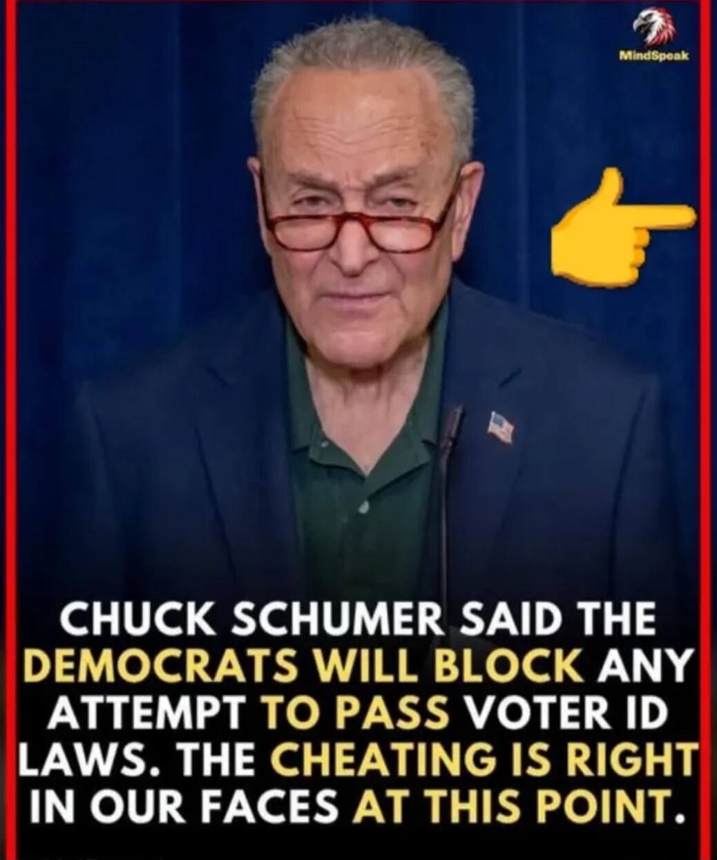 CHUCK SCHUMER SAID THE DEMOCRATS WILL BLOCK ANY ATTEMPT TO PASS VOTER ID LAWS. THE CHEATING IS RIGHT IN OUR FACES AT THIS POINT.