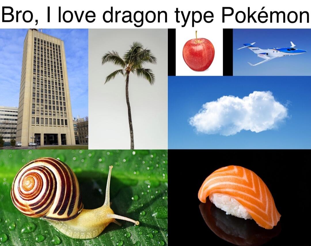 Bro love dragon type Pokmon I 9