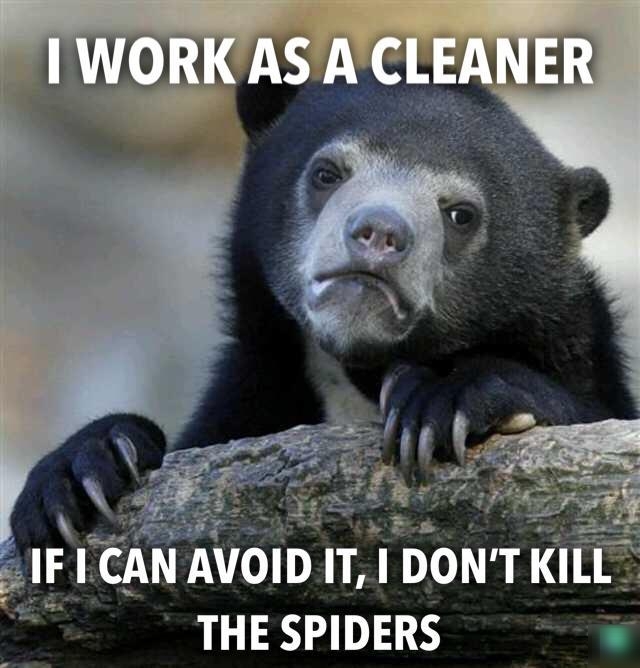 VOID IT DONTKILL THE SPIDERS