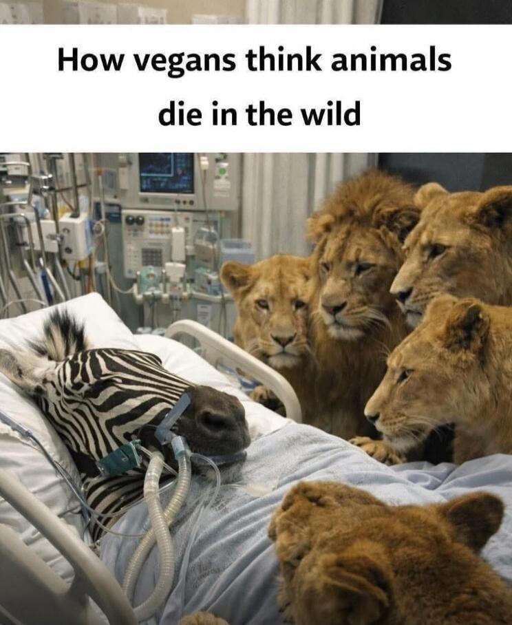 How vegans think animals die in the wild