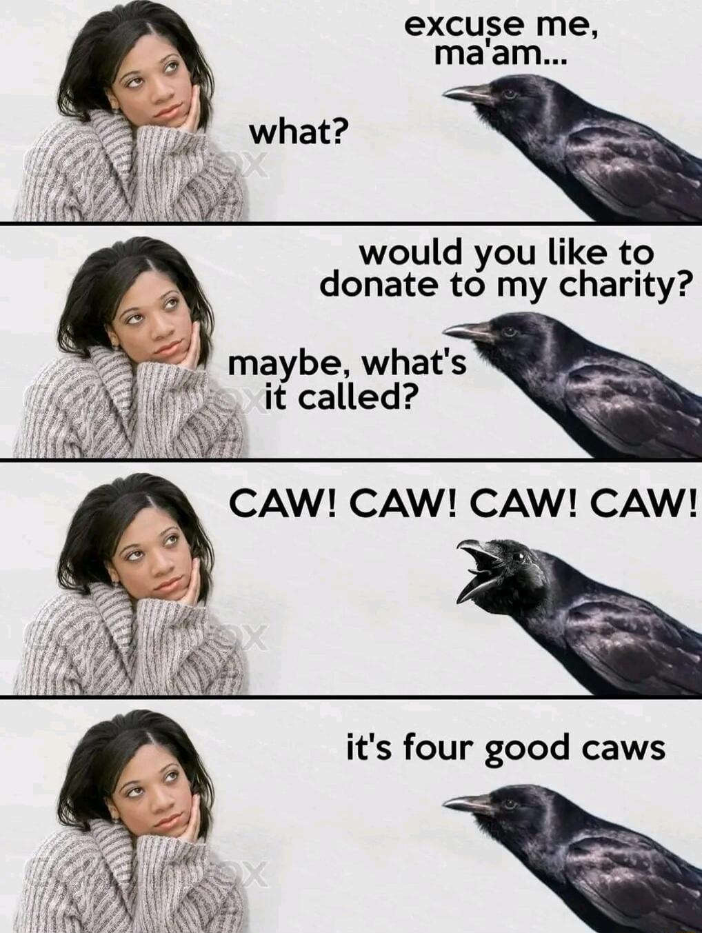 excuse me maam would you like to donate to my charity maybe whats it called CAW CAW CAW CAW i its four good caws