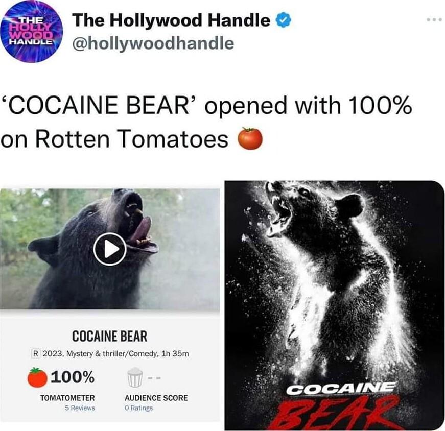 The Hollywood Handle hollywoodhandle COCAINE BEAR opened with 100 on Rotten Tomatoes COCAINE BEAR 100