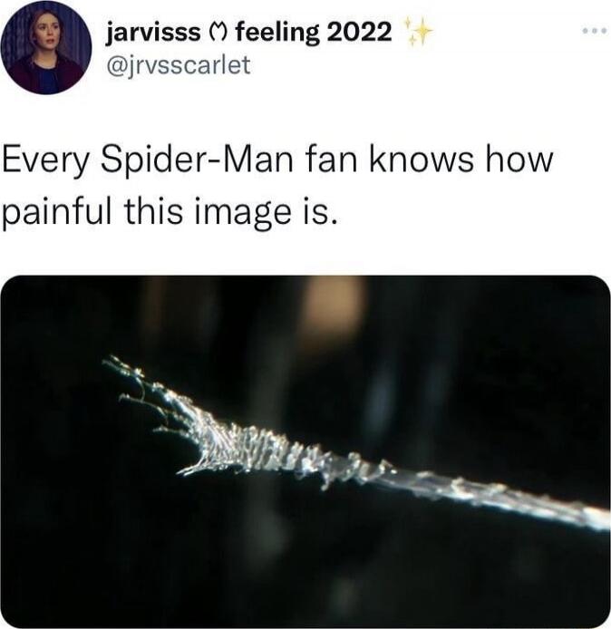 Every Spider-Man fan knows how painful this image is.