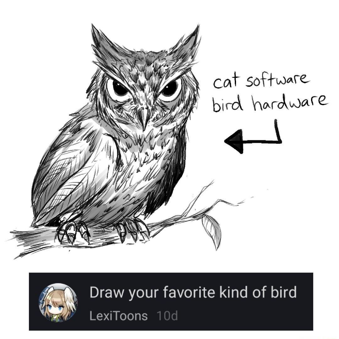 raw your favorite kind