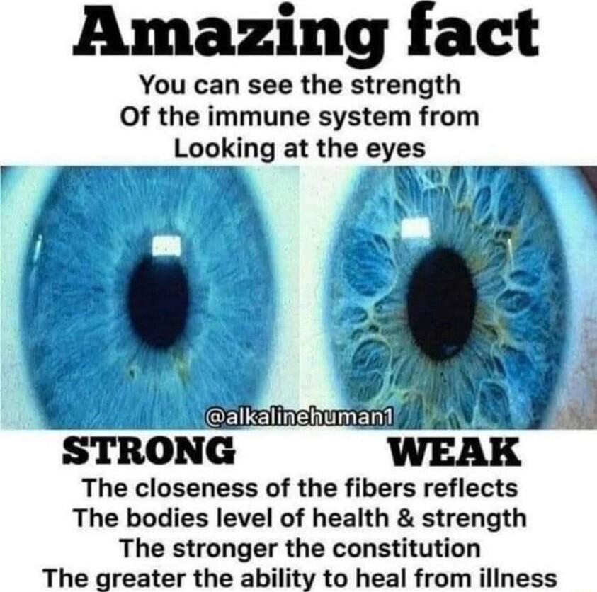 Amazing fact You can see the strength Of the immune system from Lnoklng at the eyes The closeness of the fibers reflects The bodies level of health strength The stronger the constitution The greater the ability to heal from illness