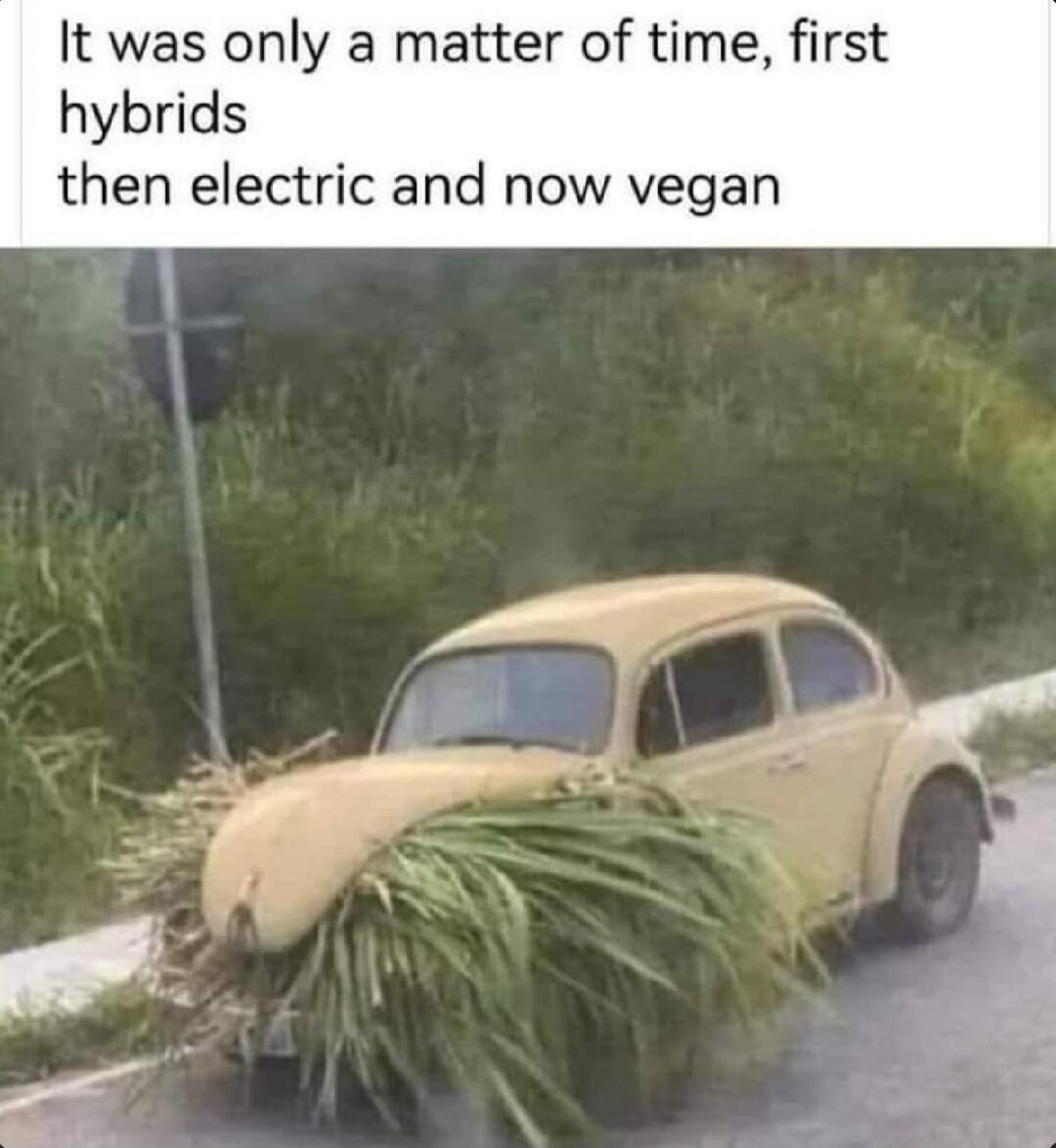 It was only a matter of time, first hybrids then electric and now vegan