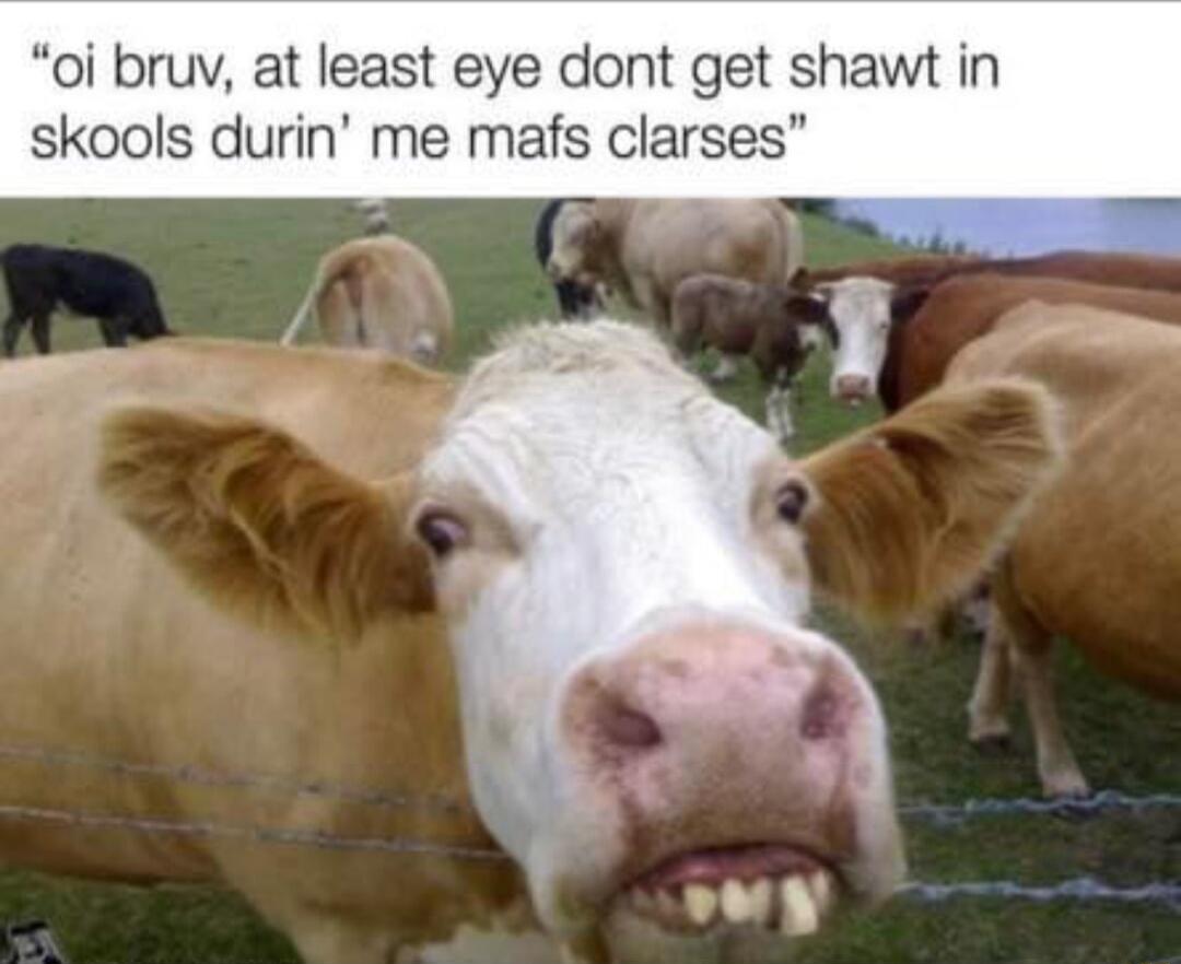 oi bruv at least eye dont get shawt in skools durin me mafs clarses