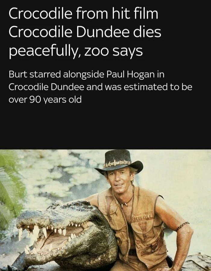 Crocodile from hit film elelelelIABINple INeSS peacefully zoo says Burt starred alongside Paul Hogan in Crocodile Dundee and was estimated to be over 90 vears old