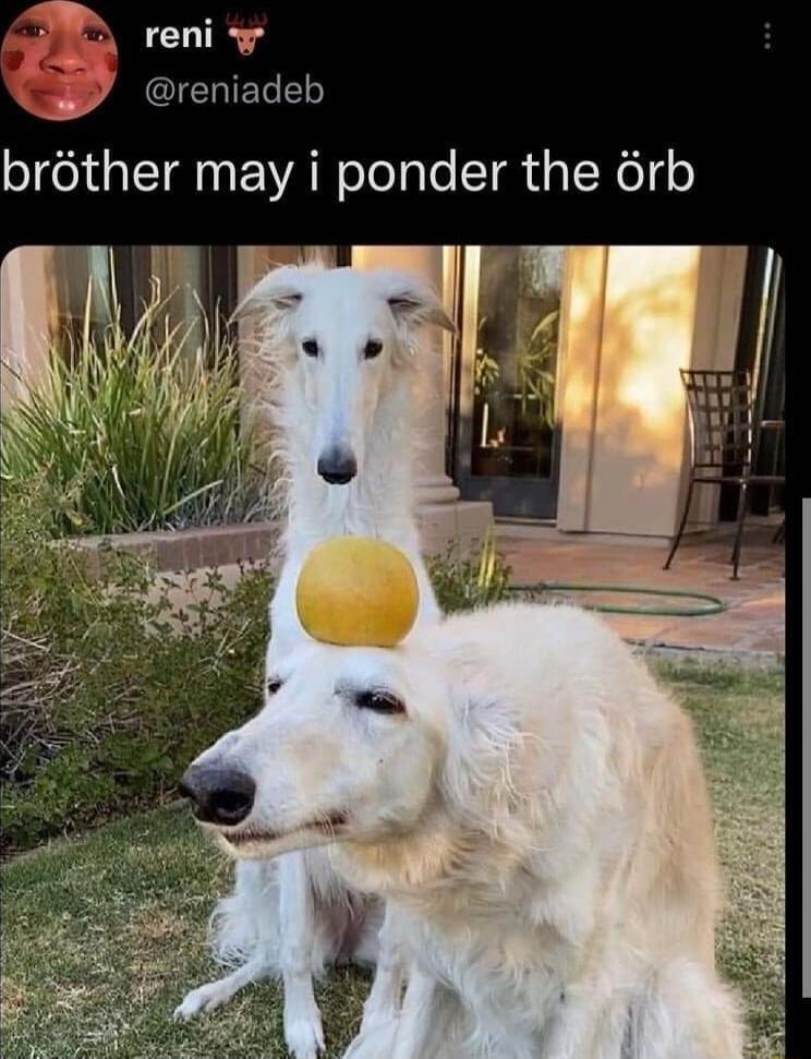 CLTR QICHIELLE 4 brther may i ponder the 6rb