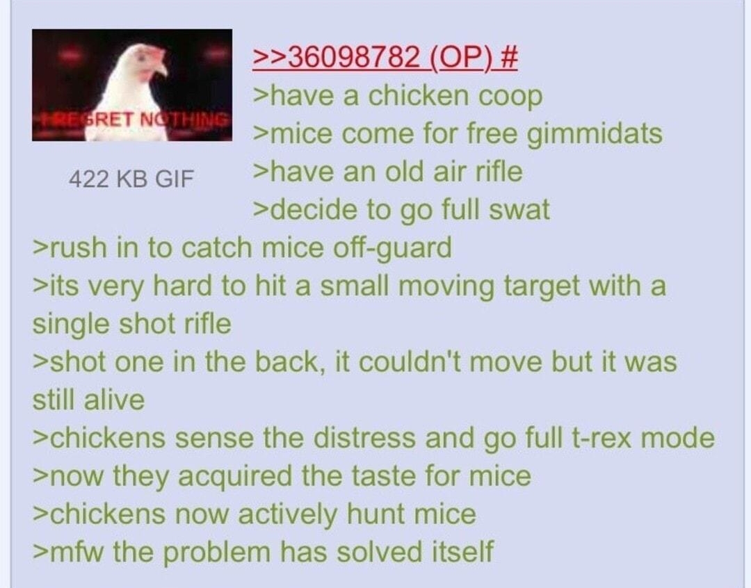 i Anonymous 121017Sun110947 No36 117406 236098782 OP have a chicken coop mice come for free gimmidats 422 KB GIF have an old air rifle decide to go full swat rush in to catch mice off guard its very hard to hit a small moving target with a single shot rifle shot one in the back it couldnt move but it was still alive chickens sense the distress and go full t rex mode now they acquired the taste for