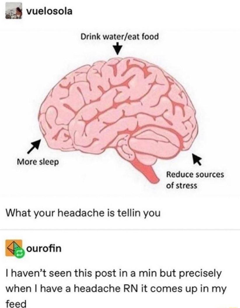vuelosola Drink watereat food Reduce sources of stress What your headache is tellin you ouron havent seen this post in a min but precisely when have a headache RN it comes up in my feed