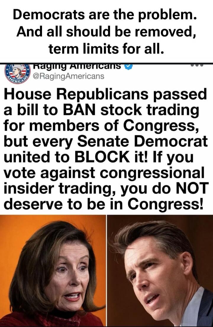 Democrats are the problem. And all should be removed, term limits for all. House Republicans passed a bill to BAN stock trading for members of Congress, but every Senate Democrat united to BLOCK it! If you vote against congressional insider trading, you do NOT deserve to be in Congress!