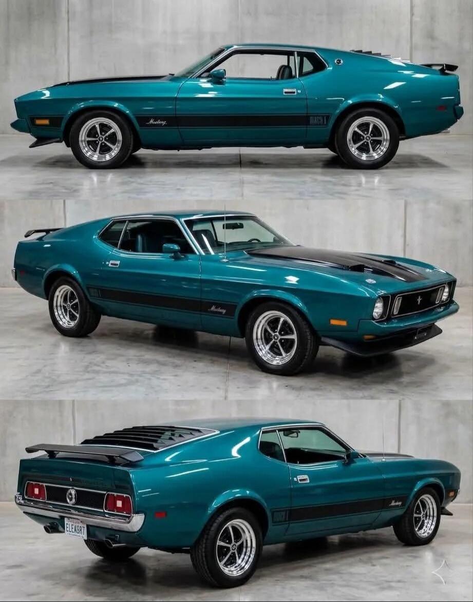 Mustang MACH 1 ELEASRT