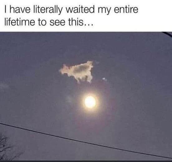I have literally waited my entire lifetime to see this...