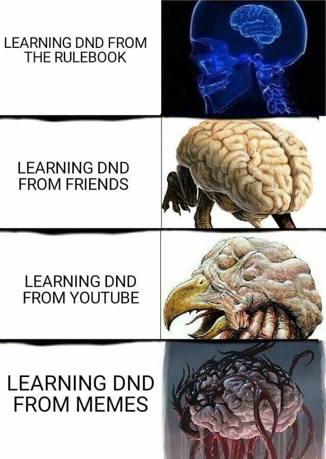 LEARNING DND FROM THE RULEBOOK LEARNING DND FROM FRIENDS LEARNING DND FROM YOUTUBE LEARNING DND FROM MEMES