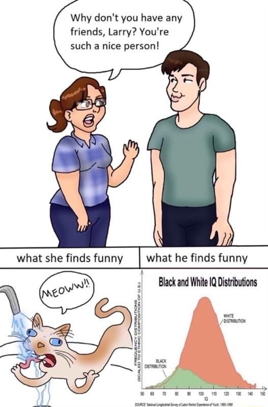 Why dont you have any friends Larry Youre such a nice person what he finds funny T Black and White IQ Distributions SO0 80w w DN W St i S