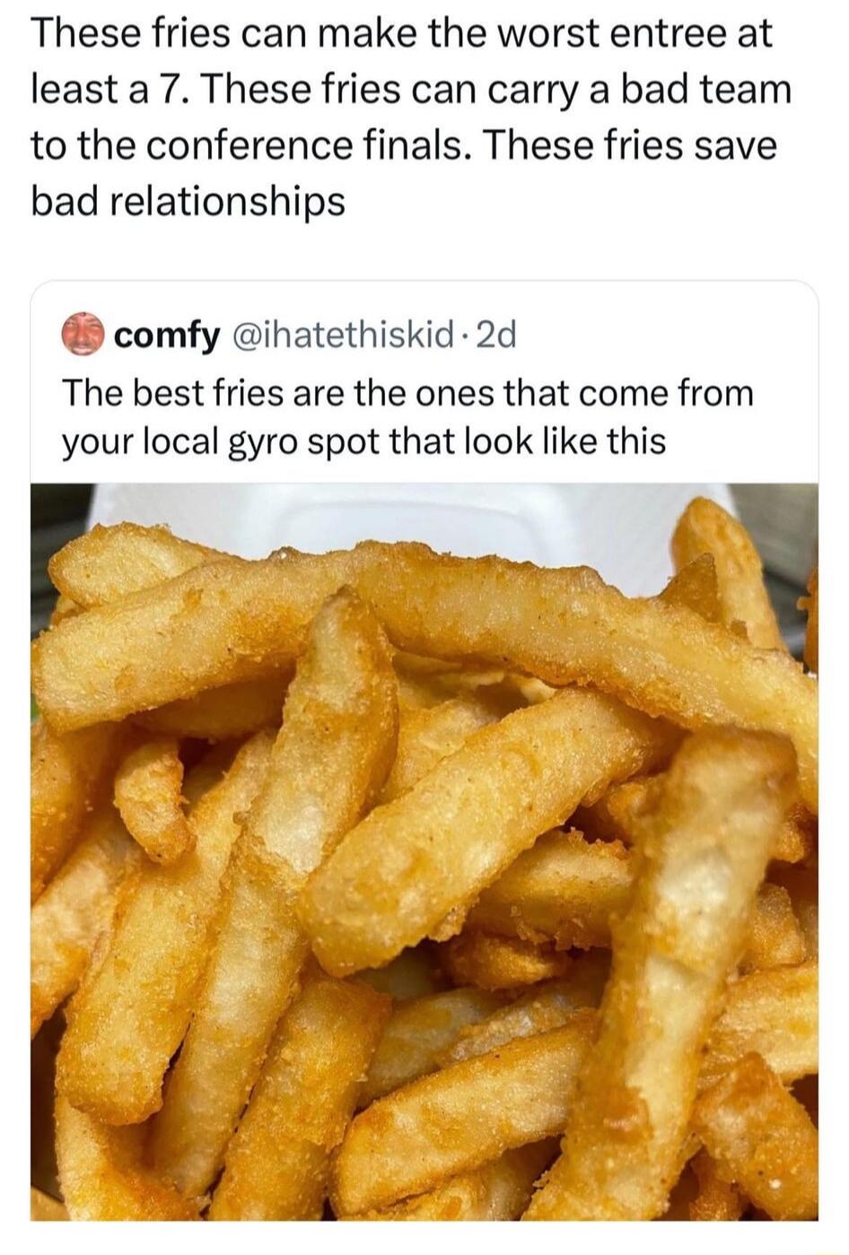 These fries can make the worst entree at least a 7 These fries can carry a bad team to the conference finals These fries save bad relationships comfy ihatethiskid 2d The best fries are the ones that come from your local gyro spot that look like this
