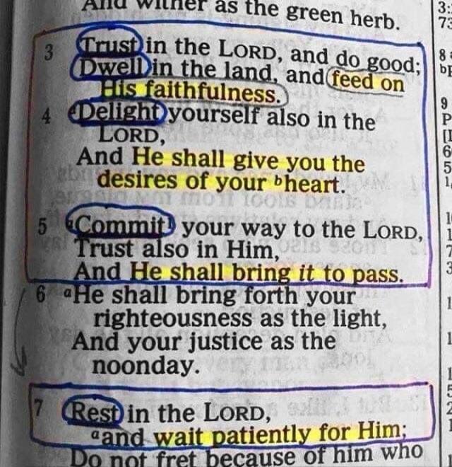 And wither as the green herb.
3 Trust in the LORD, and do good; Dwell in the land, and feed on His faithfulness.
4 Delight yourself also in the LORD, And He shall give you the desires of your heart.
5 Commit your way to the LORD, Trust also in Him, And He shall bring it to pass.
6 He shall bring forth your righteousness as the light, And your justi