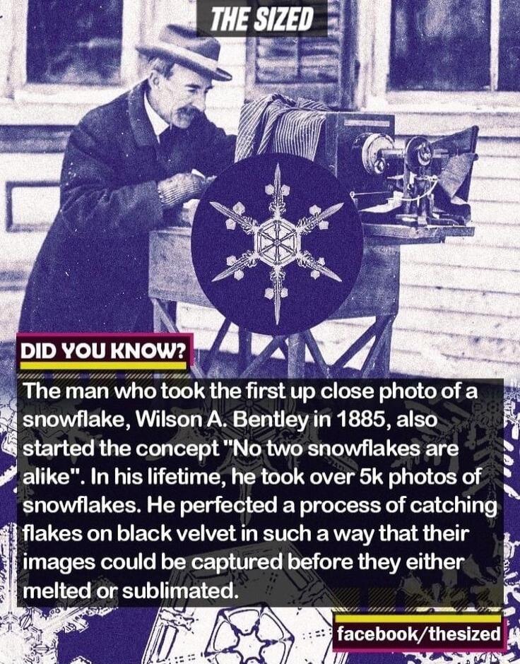 snowflake Wilson A Bentley in 1885 also started the concept No two snowflakes are J alike In his lifetime he took over 5k photos of snowflakes He perfected a process of catching flakes on black velvet in such a way that their i images could be captured before they either melted or sublimated E e man wh lhe first up close photo of a C b I facebookthesized 4