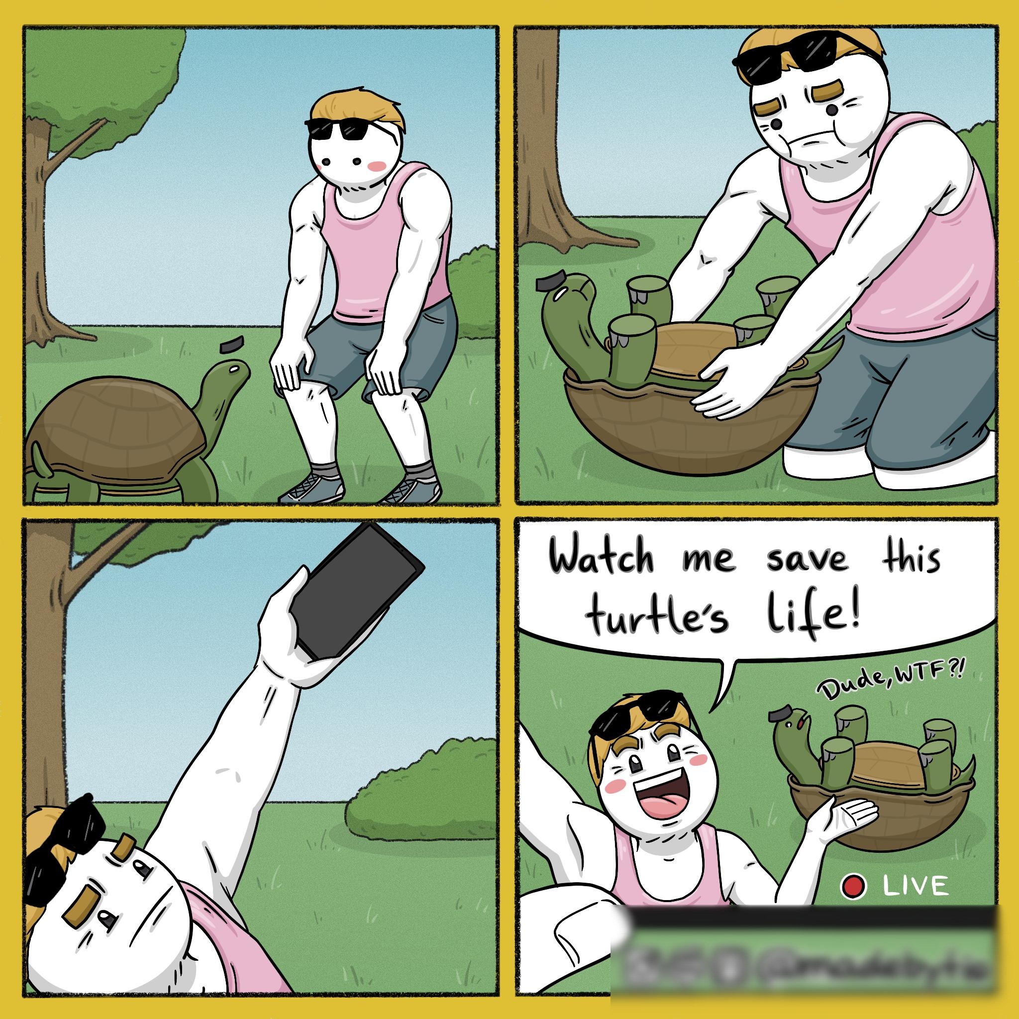 i Wacl me save this turtles Lie