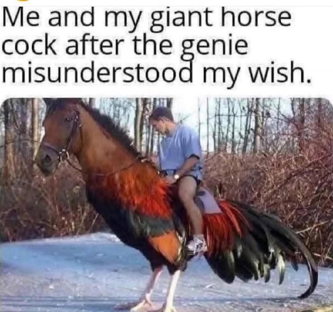 Me and my giant horse cock after the genie misunderstood my wish.