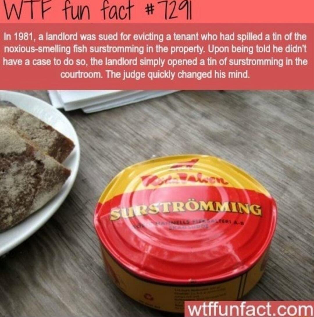 WIF fun tacr 12 In 1881 a landlord was sued for evicting a tenant who had spilled a fin of the noxious smelling fish surstromming in the property Upon being told he didnt have a case to do o the landlord simply opened a fin of surstromming in the courtroom The judge quickly changed his mind