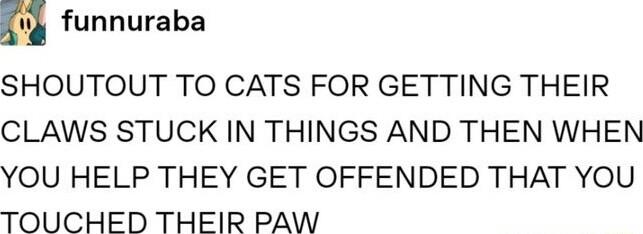 funnuraba SHOUTOUT TO CATS FOR GETTING THEIR CLAWS STUCK IN THINGS AND THEN WHEN YOU HELP THEY GET OFFENDED THAT YOU TOUCHED THEIR PAW