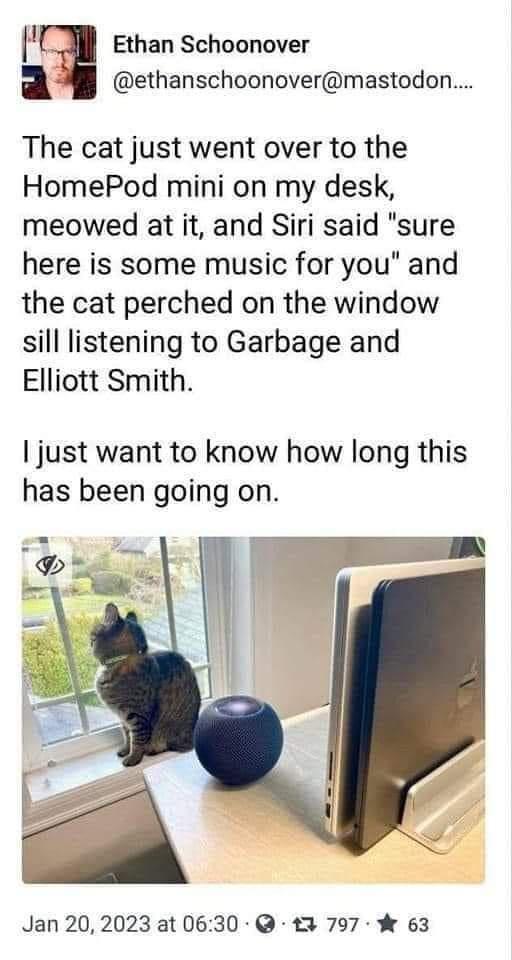 F Ethan Schoonover I ethanschoonovermastodon The cat just went over to the HomePod mini on my desk meowed at it and Siri said sure here is some music for you and the cat perched on the window sill listening to Garbage and Elliott Smith just want to know how long this has been going on Jan 202023 at 0630 3 797 63