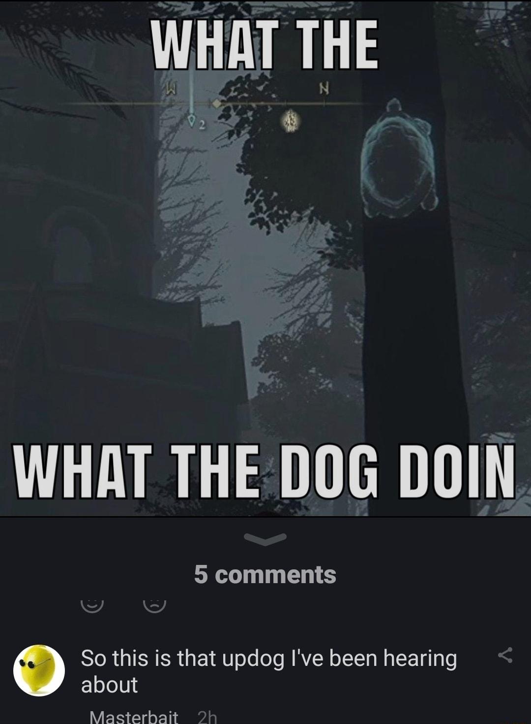 WHAT THE 9 WHAT THE DOG DOIN 5 comments O So this is that updog Ive been hearing about Masterbait