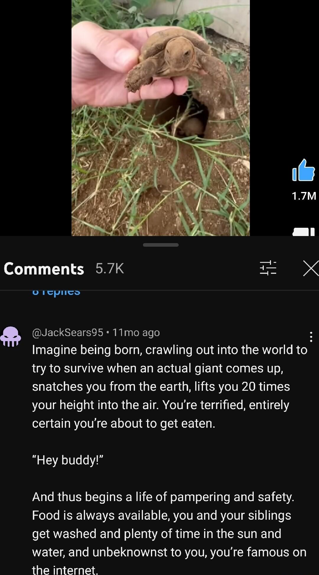 Comments 57K i 17M o repnes JackSears95 11mo ago Imagine being born crawling out into the world to try to survive when an actual giant comes up snatches you from the earth lifts you 20 times your height into the air Youre terrified entirely certain youre about to get eaten Hey buddy AAnd thus begins a life of pampering and safety Food is always available you and your siblings get washed and plenty