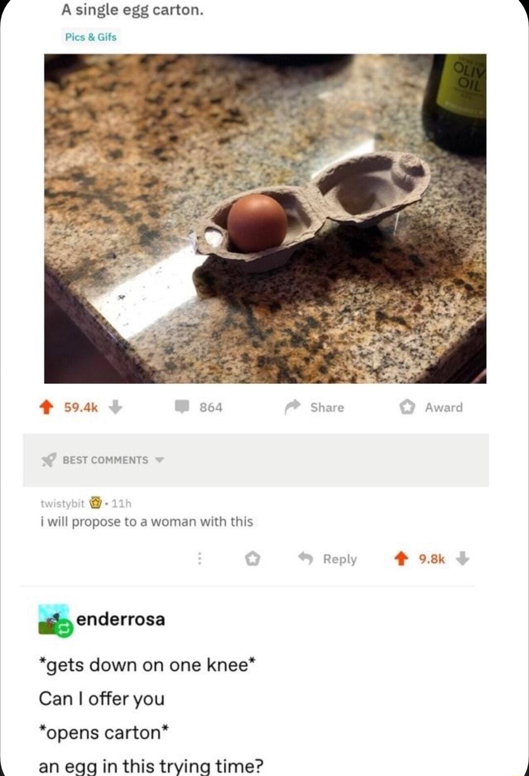 A single egg carton Pies kit i will propose to a woman with this iy enderrosa gets down on one knee Can offer you opens carton p an eqq in this trying time