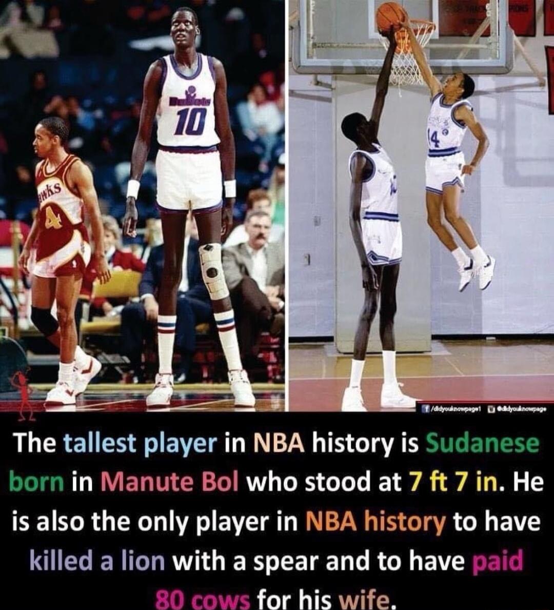 The tallest player in NBA history is born in Manute Bol who stood at 7 ft 7 in He is also the only player in NBA history to have SUECERIGIRVI E R LETET T RN B RSE 20 cows for his wife