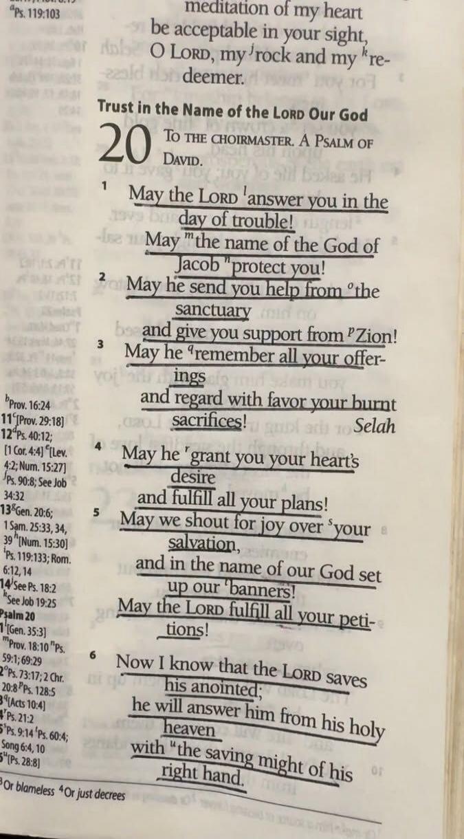 Trust in the Name of the LORD Our God. Psalm 20. May the LORD answer you in the day of trouble! May the name of the God of Jacob protect you! May he send you help from the sanctuary and give you support from Zion! May he remember all your offerings and regard with favor your burnt sacrifices! Selah. May he grant you your heart's desire and fulfill 