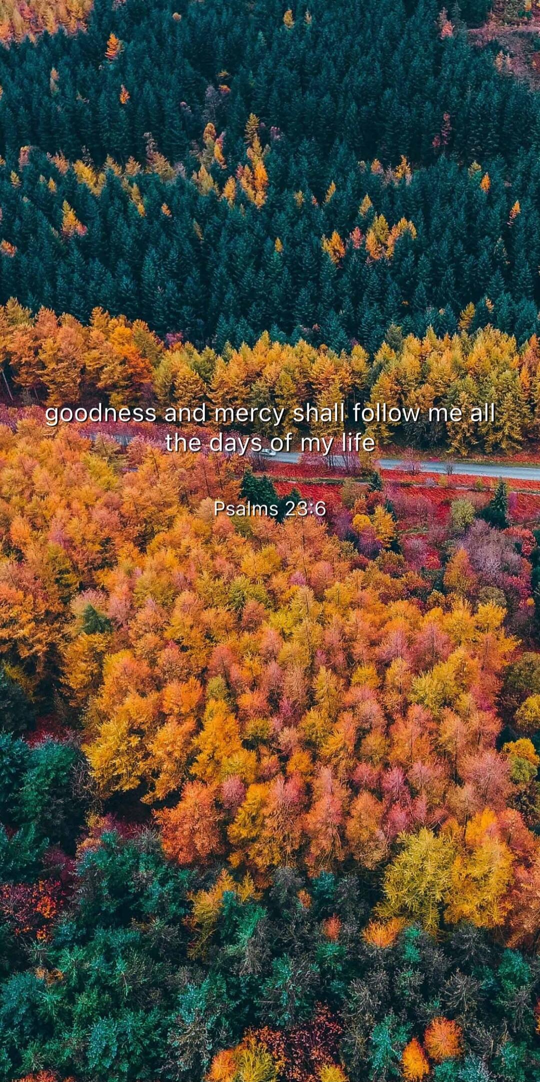 goodness and mercy shall follow me all the days of my life
Psalms 23:6