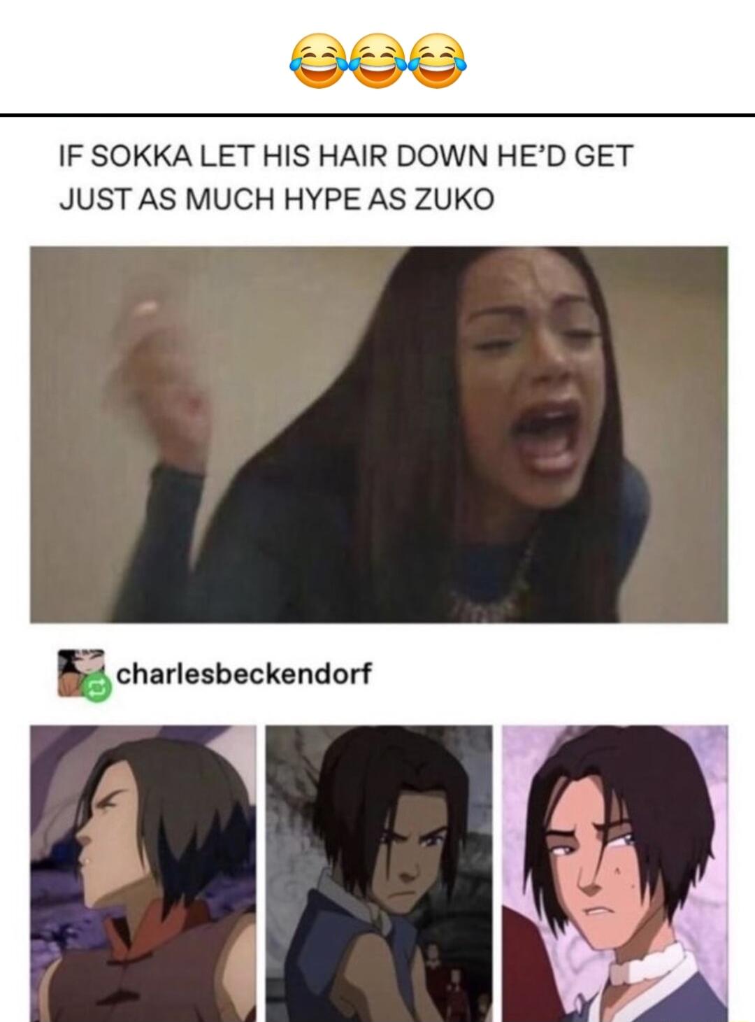 IF SOKKA LET HIS HAIR DOWN HED GET JUST AS MUCH HYPE AS ZUKO Bcherlesbeckandorf