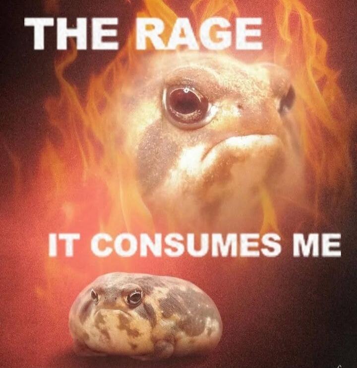 THE RAGE IT CONSUMES ME