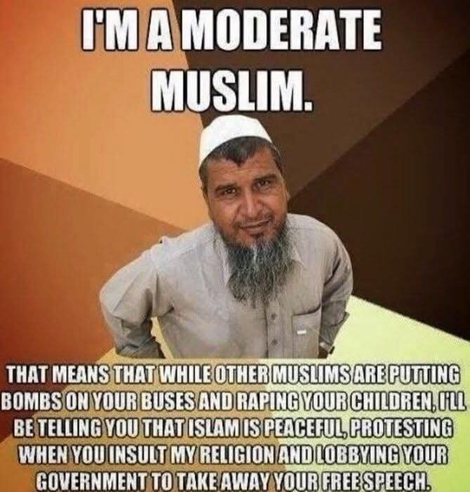 I'M A MODERATE MUSLIM. THAT MEANS THAT WHILE OTHER MUSLIMS ARE PUTTING BOMBS ON YOUR BUSES AND RAPING YOUR CHILDREN, I'LL BE TELLING YOU THAT ISLAM IS PEACEFUL, PROTESTING WHEN YOU INSULT MY RELIGION AND LOBBYING YOUR GOVERNMENT TO TAKE AWAY YOUR FREE SPEECH.